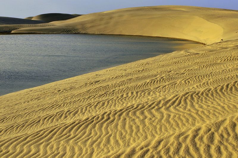 Rippled golden dunes sloping down to the still water of Khor Al Adaid, the inland sea in southern Qatar