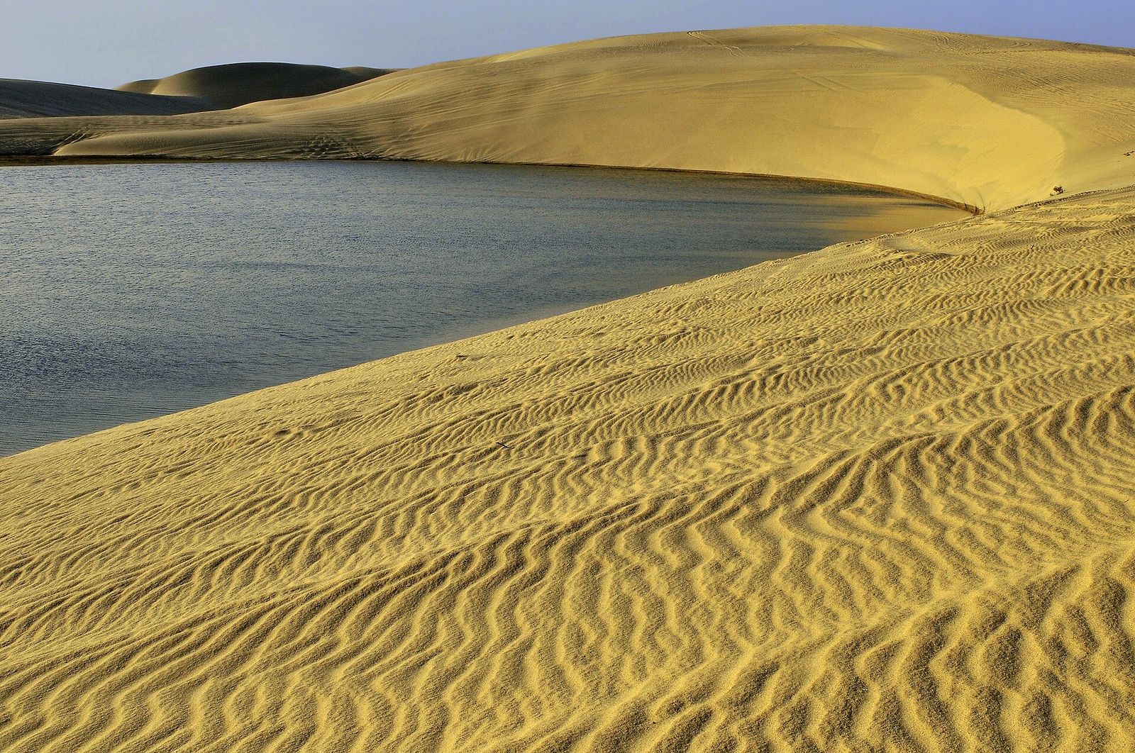 Rippled golden dunes sloping down to the still water of Khor Al Adaid, the inland sea in southern Qatar